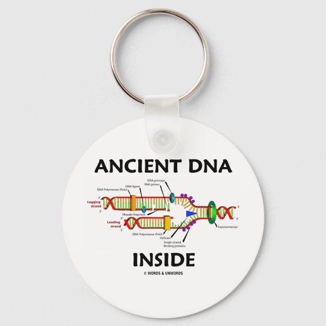 Ancient DNA Inside (DNA Replication Humour) Key Ring (Front)