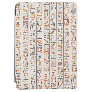 ancient egypt hieroglyphs pattern background histo iPad air cover
