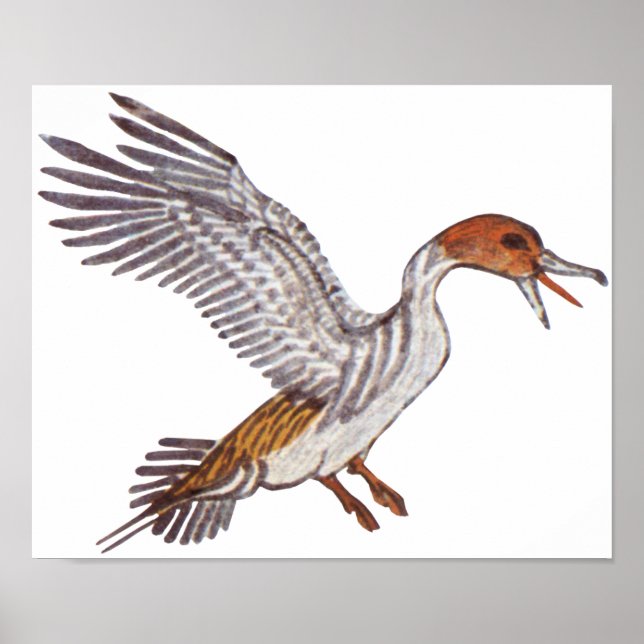 Ancient Egyptian Duck Poster (Front)