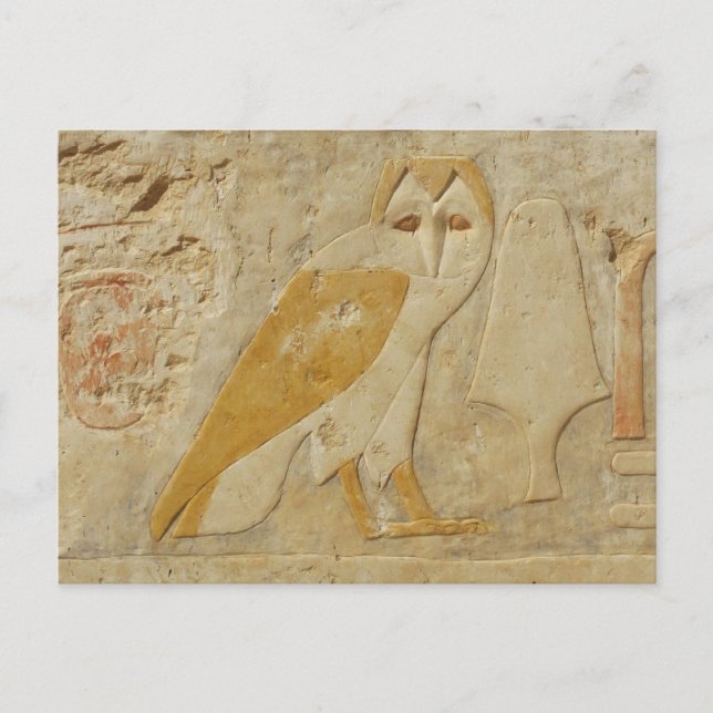 Ancient Egyptian Egypt Owl hieroglyph Postcard (Front)