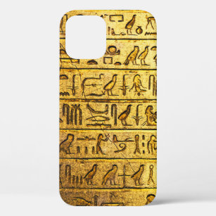 Ancient Egyptian Hieroglyphs - Yellow iPhone 12 Case