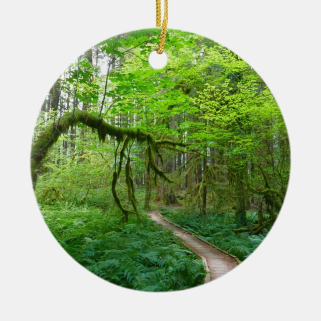 Ancient Groves Trail at Olympic National Park Ceramic Ornament (Front)