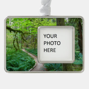 Ancient Groves Trail at Olympic National Park Silver Plated Framed Ornament