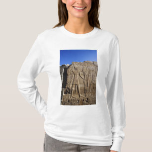 Ancient hieroglyphs on wall, Temple of Karnak, T-Shirt
