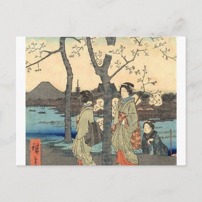 Ancient Japanese Women under Cherry Blossoms Postcard (Front)