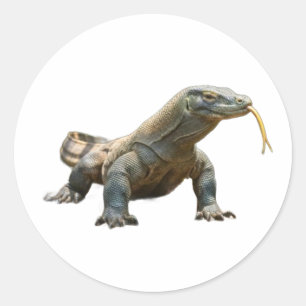 Ancient Komodo Dragon Indonesia Heritage Sticker
