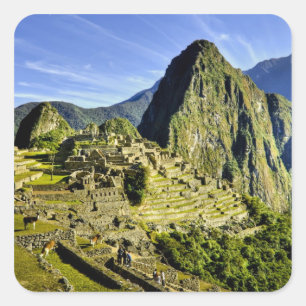 Ancient Machu Picchu, last refuge of the Square Sticker