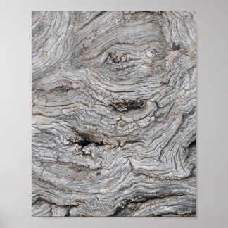 Ancient Olive Tree Bark Texture Poster