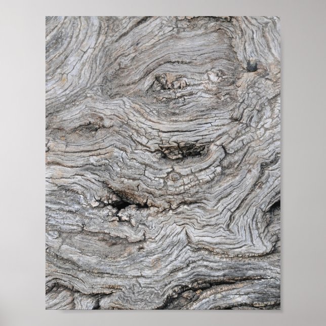 Ancient Olive Tree Bark Texture Poster (Front)