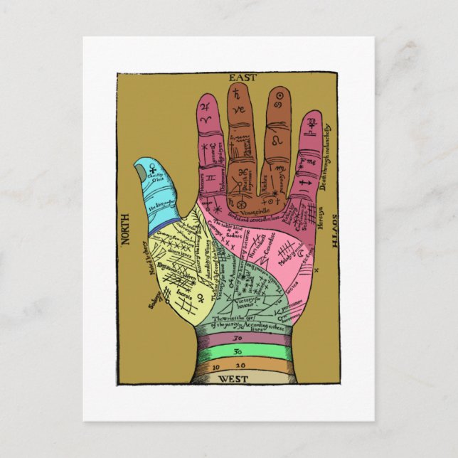 Ancient Palm Reading Chart Postcard (Front)