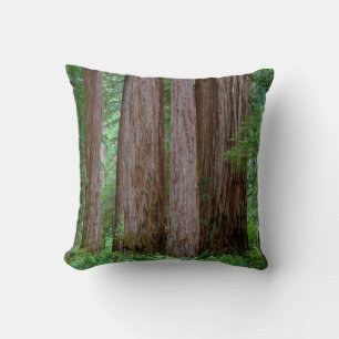 Ancient Redwoods Towering Cushion