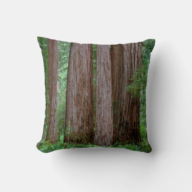 Ancient Redwoods Towering Cushion (Front)