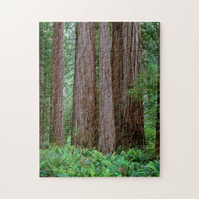 Ancient Redwoods Towering Jigsaw Puzzle (Vertical)