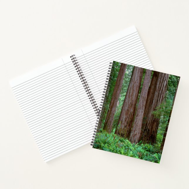Ancient Redwoods Towering Notebook (Inside)