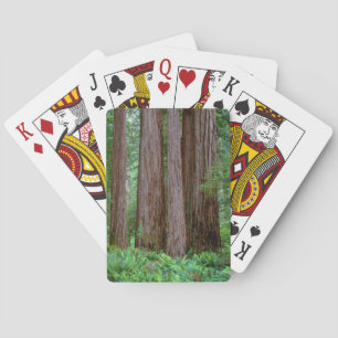 Ancient Redwoods Towering Playing Cards