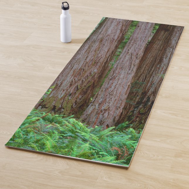 Ancient Redwoods Towering Yoga Mat (In Situ)