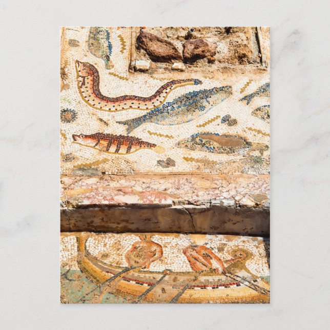 Ancient Roman Mosaic Postcard (Front)