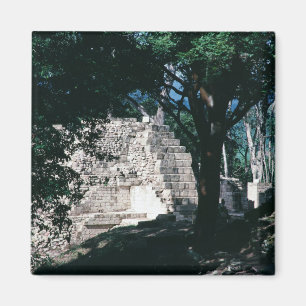 Ancient Ruins of Copan Honduras Mayan Culture Magnet