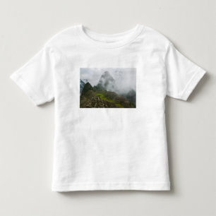 Ancient ruins of Machu Picchu with Andes Toddler T-Shirt