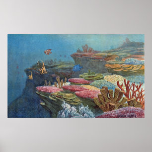 Ancient Sea Coral Antique Print