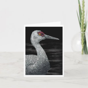 "Ancient Traveller" - Sandhill Crane Card