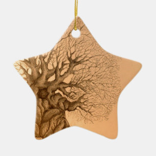 Ancient Tree Drawing Ceramic Ornament