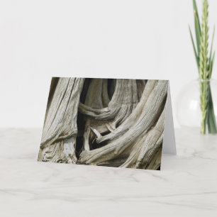 Ancient Tree Heart Card