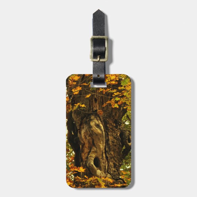 Ancient Tree Luggage Tag (Front Vertical)