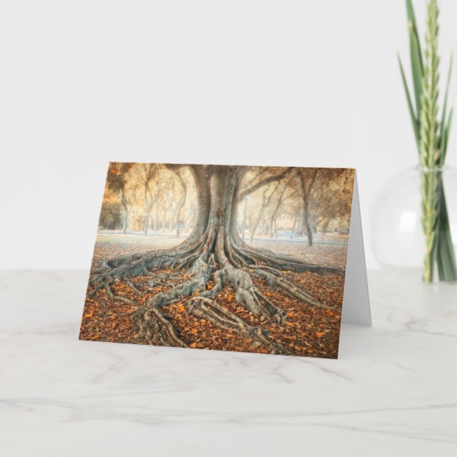Ancient Tree Roots Card (Front)