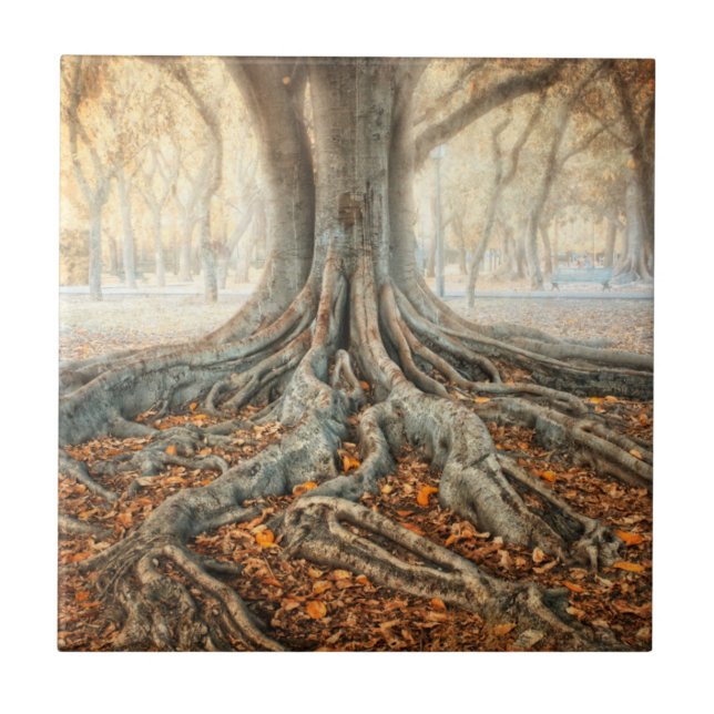 Ancient Tree Roots Ceramic Tile (Front)
