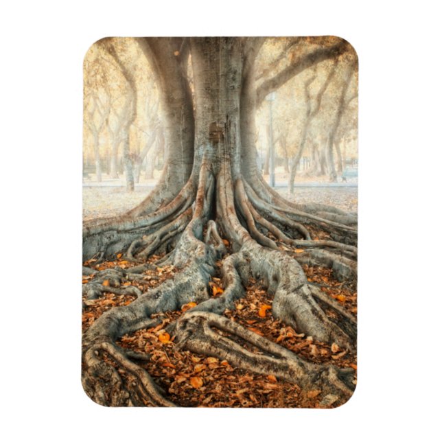 Ancient Tree Roots Magnet (Vertical)