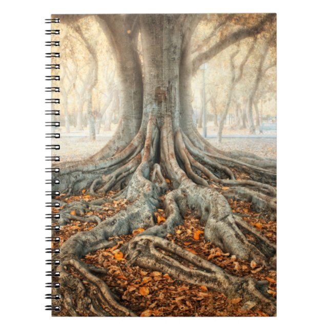 Ancient Tree Roots Notebook (Front)