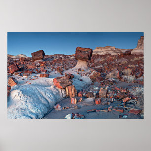 Ancient Trees of the Petrified Forest Poster