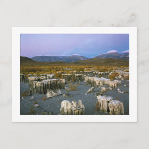 "Ancient Watermark" Postcard
