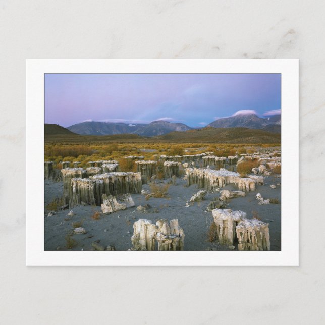 "Ancient Watermark" Postcard (Front)