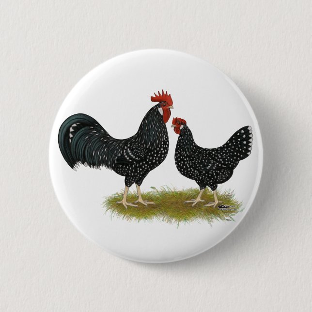 Ancona Chickens 6 Cm Round Badge (Front)