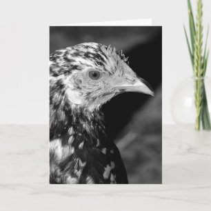 Ancona Hen Card