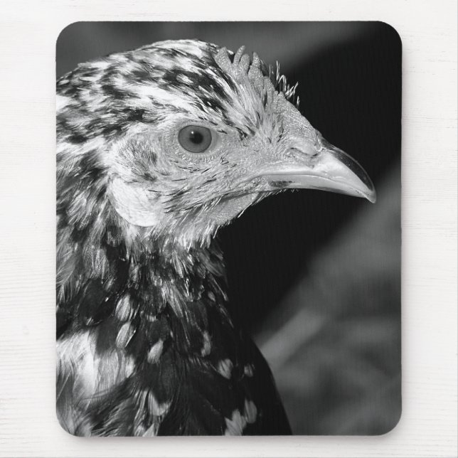 Ancona Hen Mouse Pad (Front)