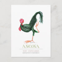 Ancona Hen, tony fernandes