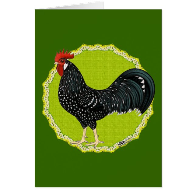 Ancona Rooster (Front)