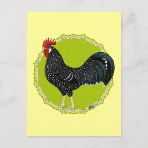 Ancona Rooster Postcard