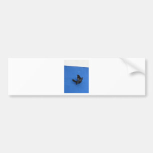 ancre bumper sticker