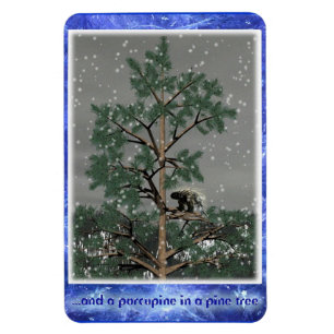 And A Porcupine In A Pine Tree Magnet