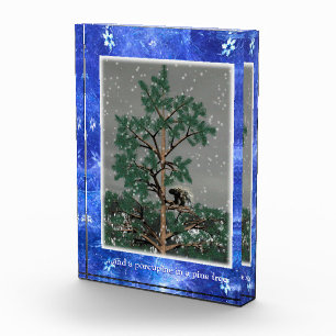 And A Porcupine In A Pine Tree Photo Block