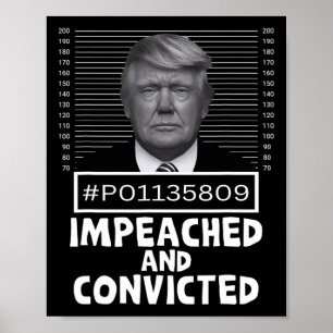 And Convicted Felon 45 Funny Anti Trump Mugshot  Poster