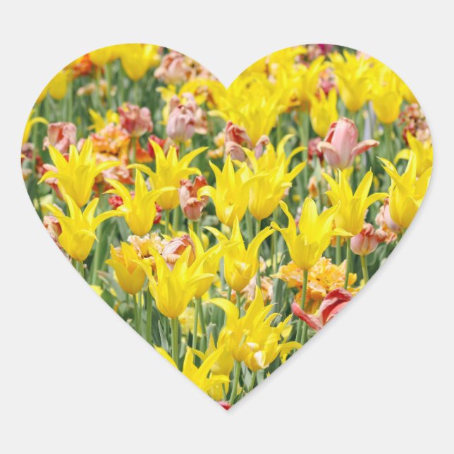 And Life Goes On  Heart Sticker (Front)