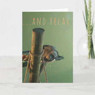 And Relax Greeting Card