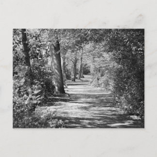 And the path runs through it postcard