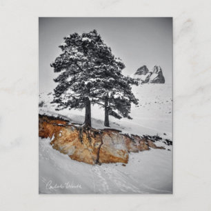 And Yet it Grows Postcard