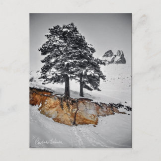 And Yet it Grows Postcard